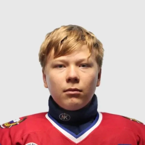 Narvatov Dmitrii Aleksandrovich