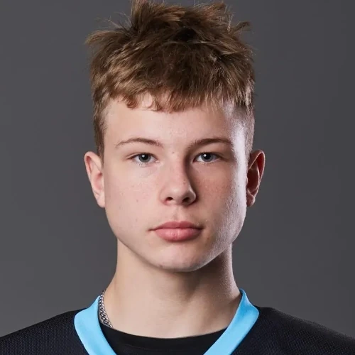 Guk Arsenii Vadimovich