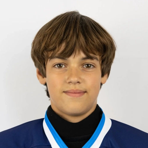 Lavrischev Ruslan Evgenevich