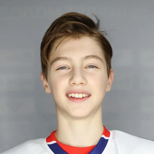 Lesovoi Vladimir Olegovich