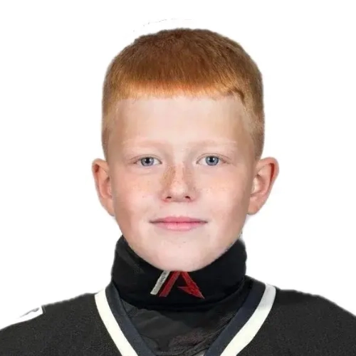 Avsharov Nikita Konstantinovich