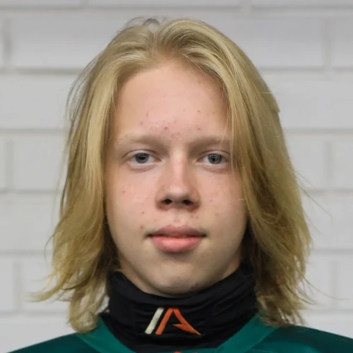 Sharipov Ilya Dmitrievich