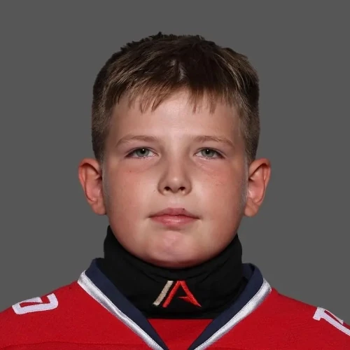 Dronov Ivan Gennadevich