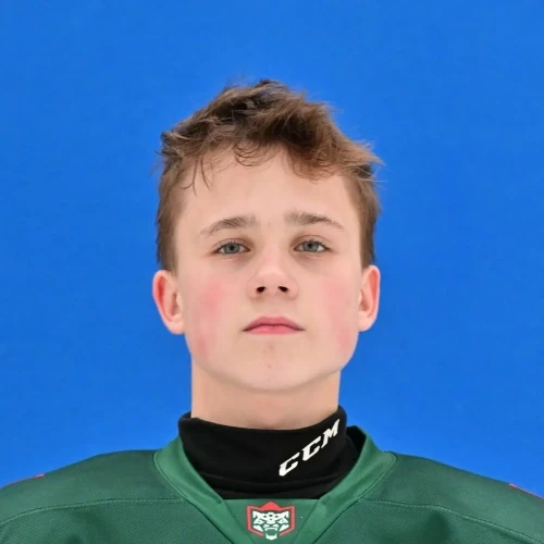 Horuzhev Dmitrii Sergeevich