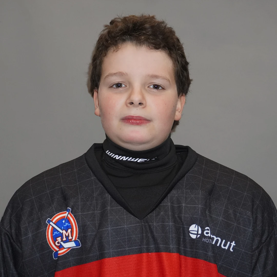 Mikaloff Skailler