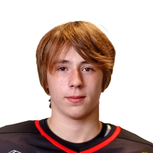 Muhutdinov Yaroslav Denisovich