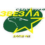 Северная Звезда