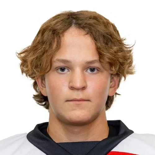 Kulagin Vladislav Viktorovich