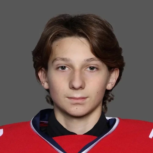 Penkov Nikita Dmitrievich