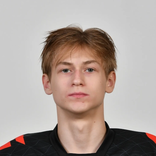 Siladi Dmitrii Dmitrievich