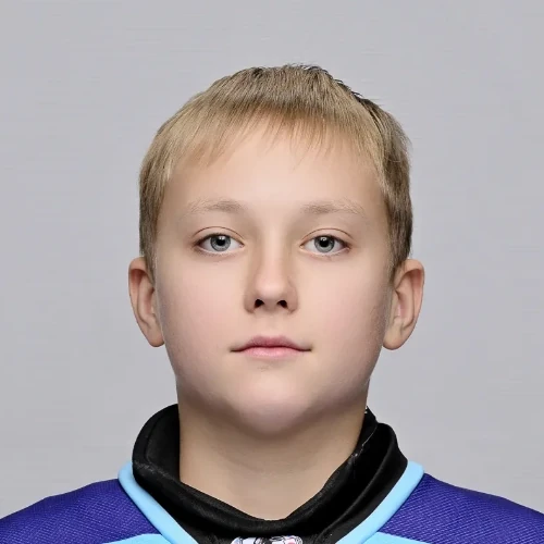 Gubarev Dmitrii Vladimirovich