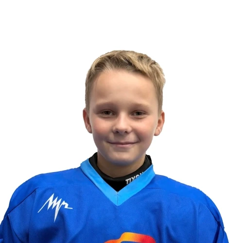 Vlasov Denis Alekseevich