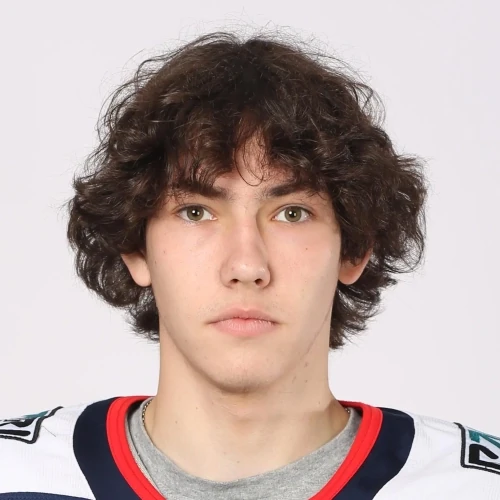Kuznetsov Ilya Dmitrievich