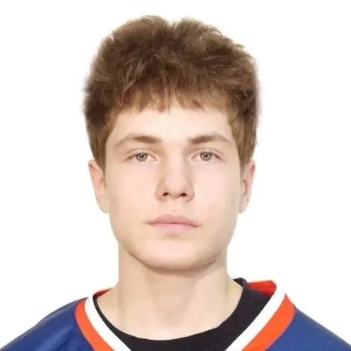 Timofeev Artur Vyacheslavovich