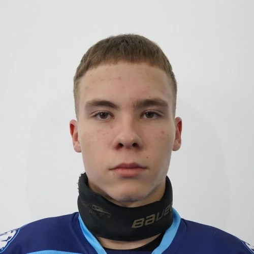 Didenko Savelii Igorevich