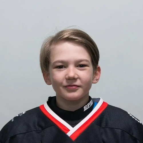 Dvornikov Egor Dmitrievich