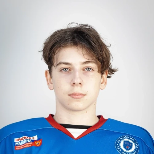 Shapkin Denis Rostislavovich