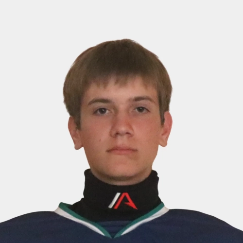 Sharapov Artem Albertovich