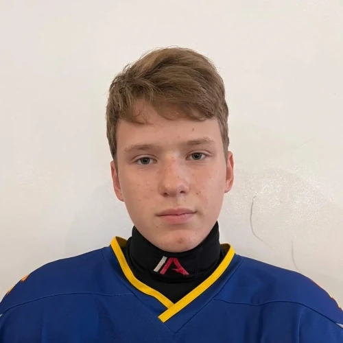 Panov Danil Sergeevich