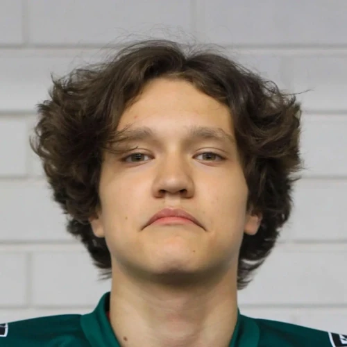 Gazymov Danis Almazovich