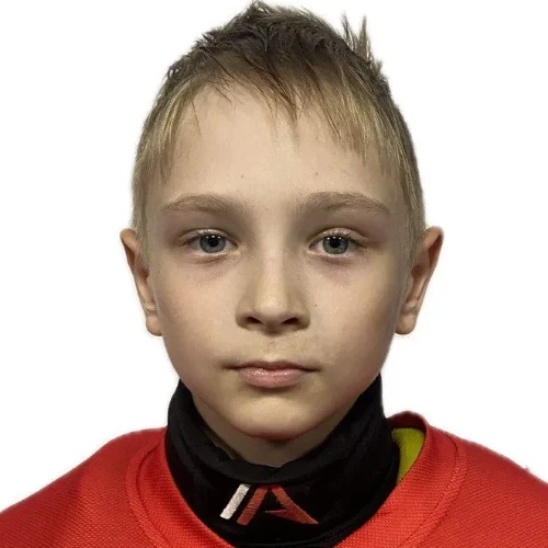 Meshkov Dmitrii Igorevich