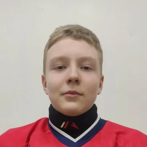 Proshin Vladislav Artemovich