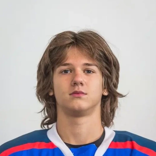 Gorbunov Dmitrii Mihailovich