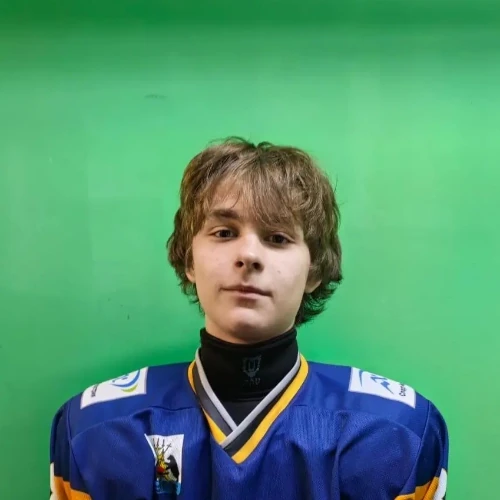 Demidov Artem Kirillovich