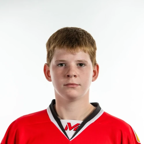 Gluschenko Vladislav Vitalevich
