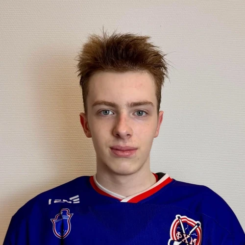 Sergeev Andrei Mihailovich