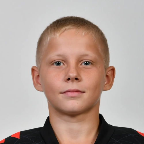 Maurer Vladimir Denisovich