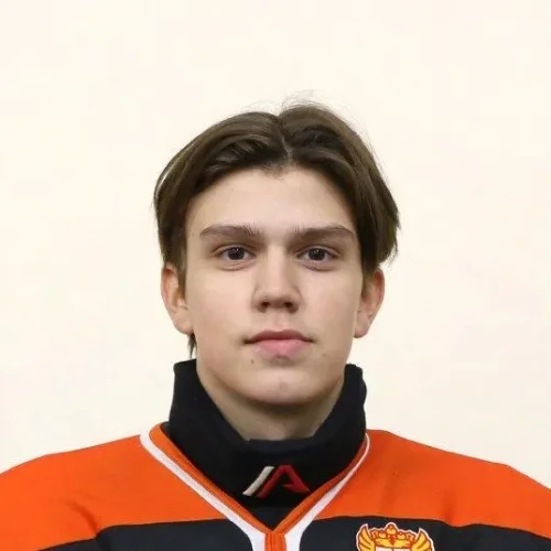 Tretyakov Nikolai Olegovich