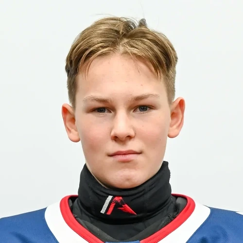 Marzoev Arsenii Olegovich