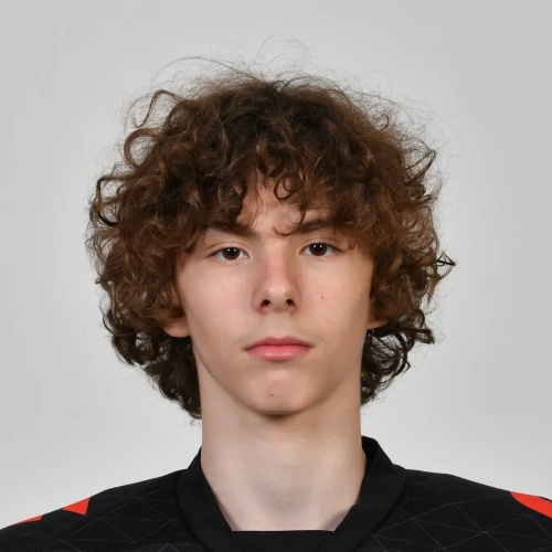Grebenyuk Mihail Dmitrievich