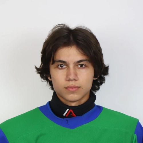 Галеев Амир Эльдарович