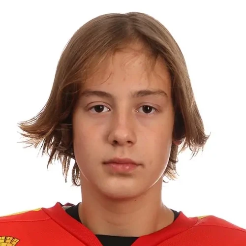 Pikulev Mihail Evgenevich