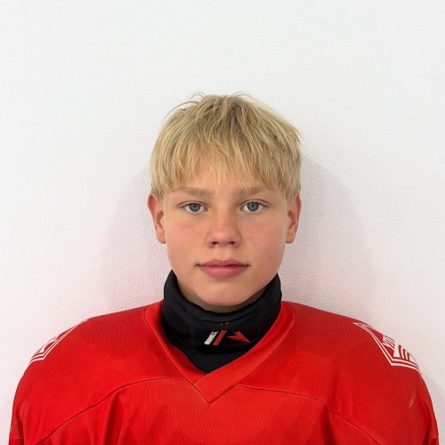 Pozdeev Danila Andreevich