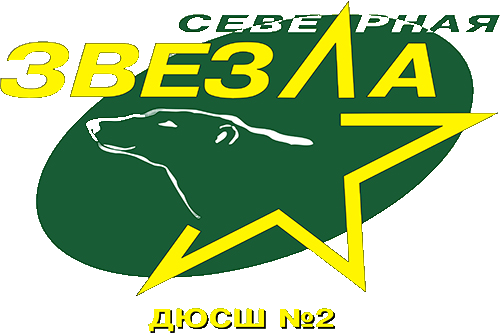 Северная Звезда 2015