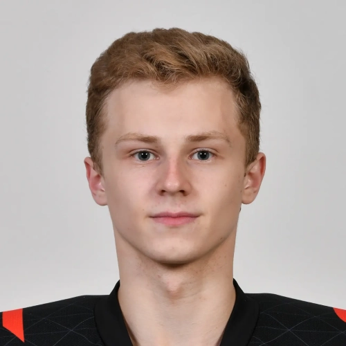 Кривцов Денис Олегович