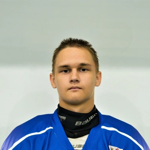 Rykov Nikita Vladimirovich