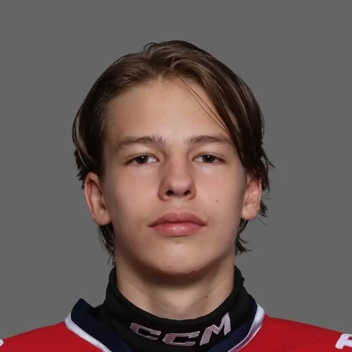 Denisov Makar Aleksandrovich