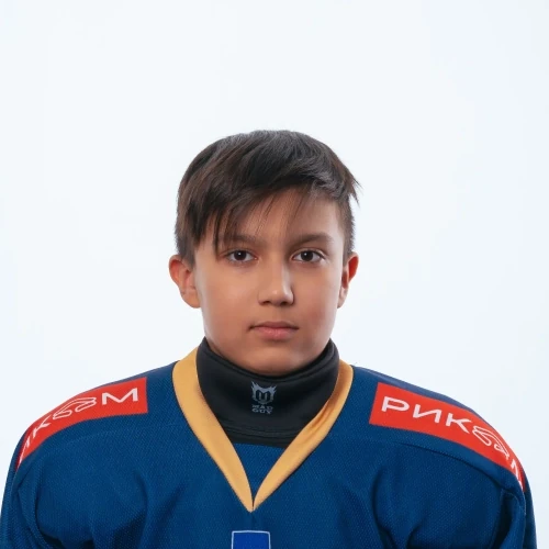 Zaripov Timur Ilfatovich