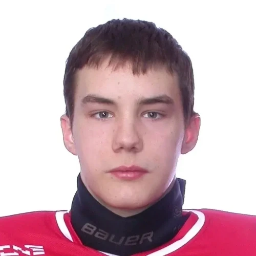 Safronov Vladislav Igorevich