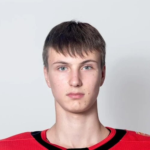 Suhanov Dmitrii Sergeevich