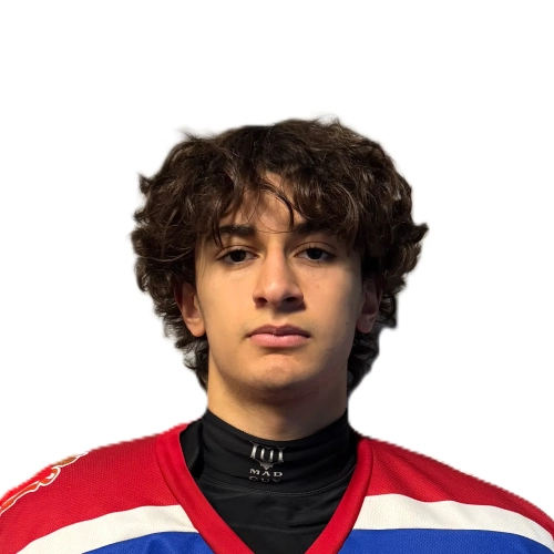 Alahverdov Artem Gerasimovich