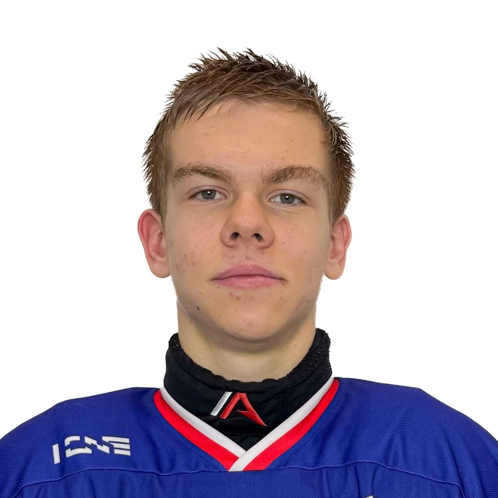 Liventsev Artem
