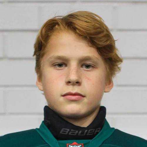 Kuznetsov Ilya Sergeevich