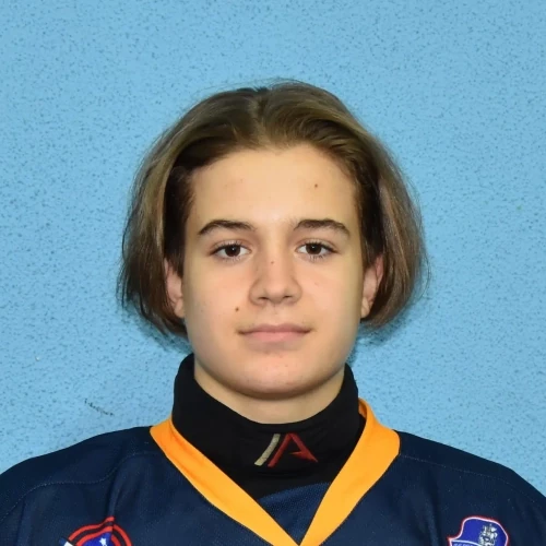 Avetikyan Tigran Arturovich