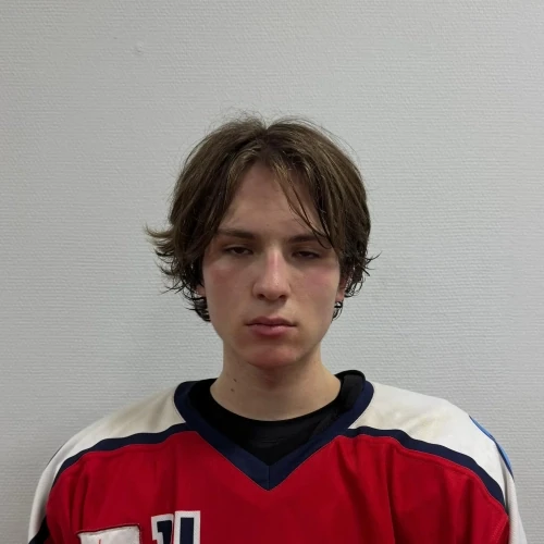 Puzyrkov Artem Denisovich