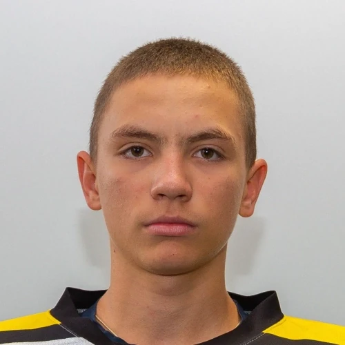 Pisarev Aleksei Alekseevich